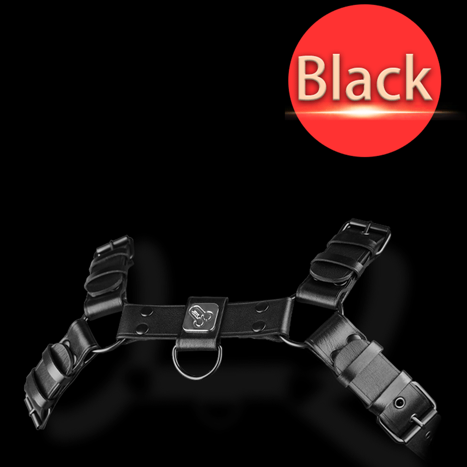 JYBL-CHEST Bondage