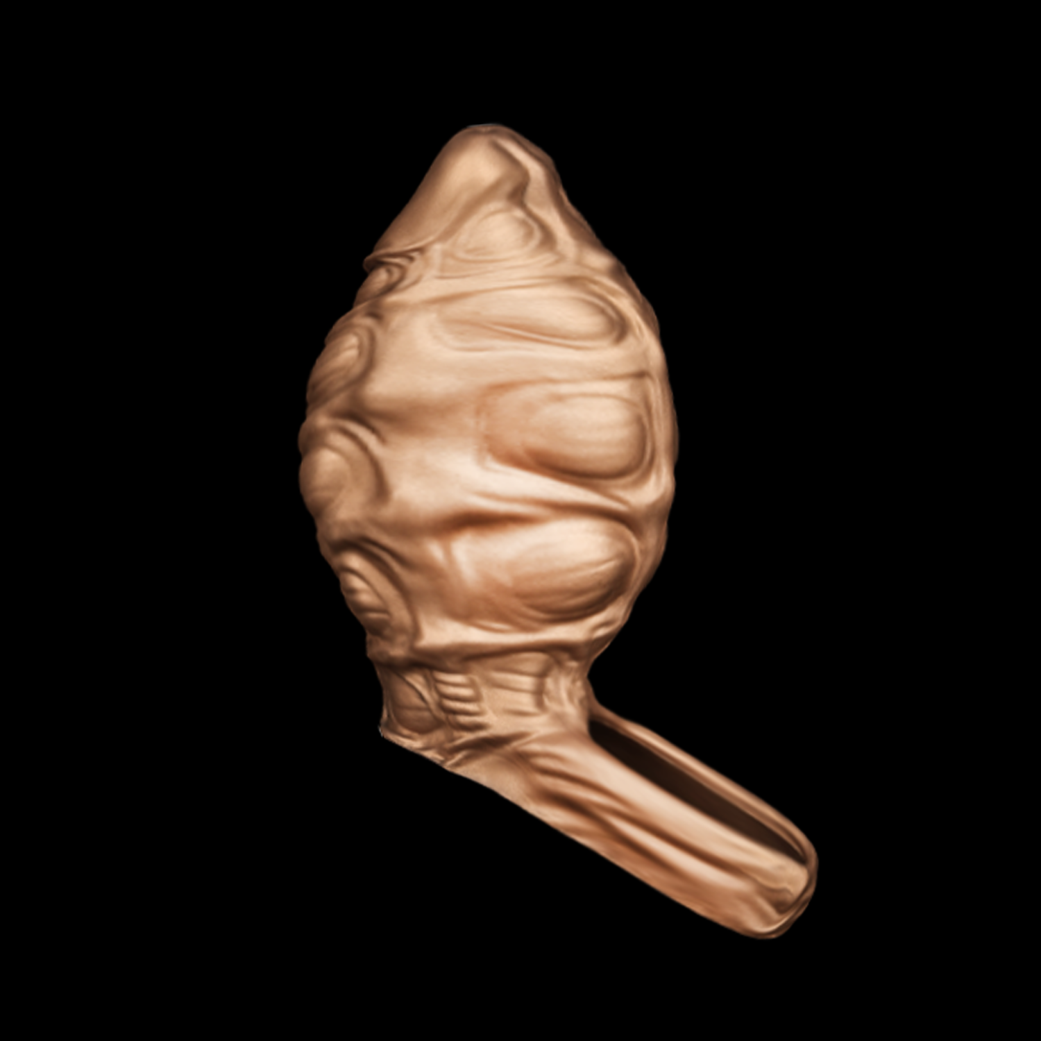 JYBL- SLAVE（Penis Enlargement）